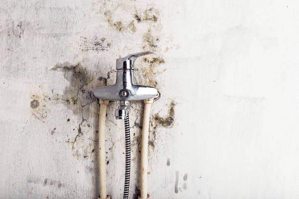Best Mold Damage Repair  in Sterling, VA