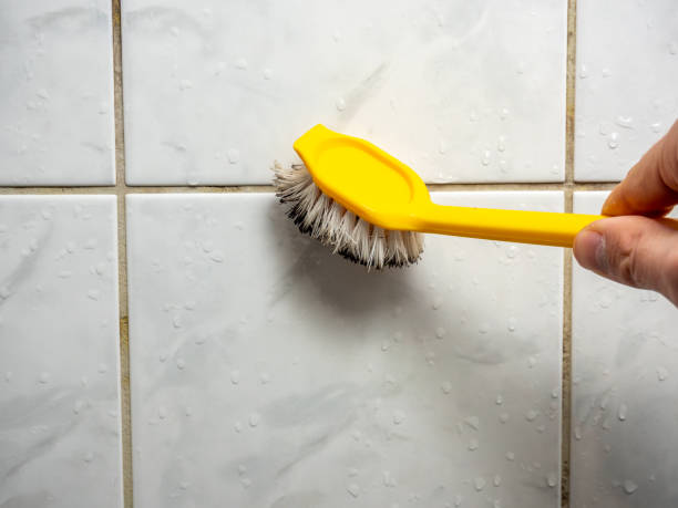 Best Water Damage Restoration  in Sterling, VA