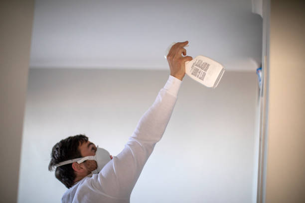 Best Black Mold Removal  in Sterling, VA