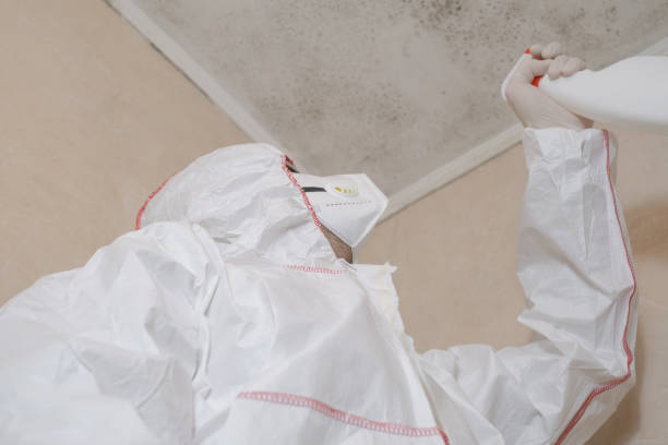 Best Mold Removal Company Near Me  in Sterling, VA
